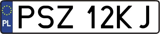 PSZ12KJ