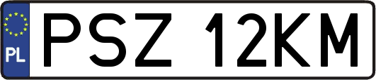 PSZ12KM