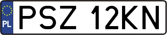 PSZ12KN