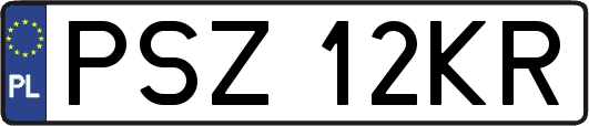 PSZ12KR