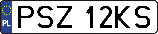 PSZ12KS