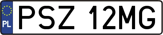 PSZ12MG