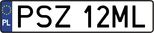 PSZ12ML