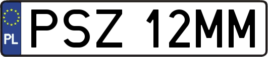PSZ12MM