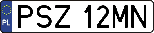 PSZ12MN