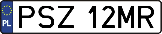 PSZ12MR