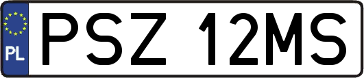PSZ12MS