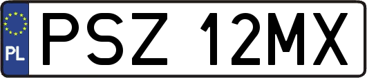 PSZ12MX