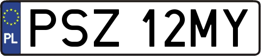 PSZ12MY