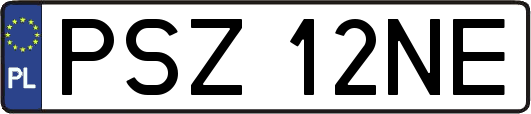 PSZ12NE