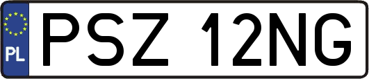 PSZ12NG