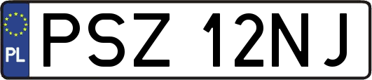 PSZ12NJ