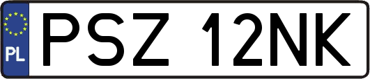 PSZ12NK