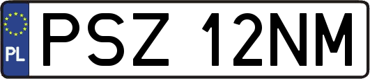 PSZ12NM