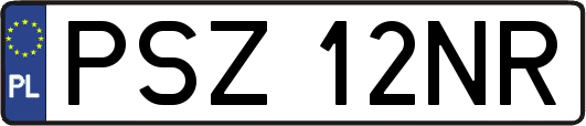 PSZ12NR