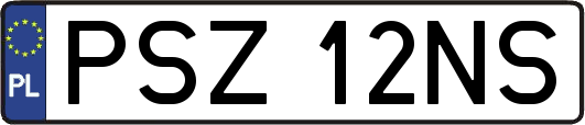 PSZ12NS