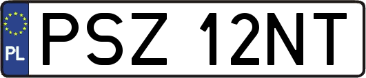 PSZ12NT