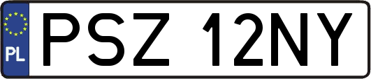 PSZ12NY