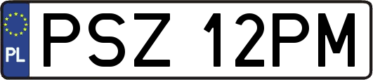 PSZ12PM