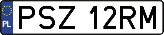 PSZ12RM