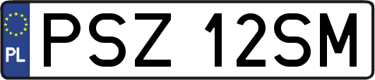 PSZ12SM