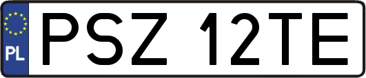 PSZ12TE
