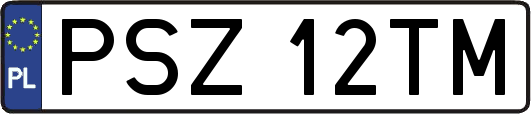 PSZ12TM