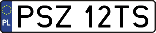 PSZ12TS