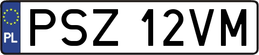 PSZ12VM