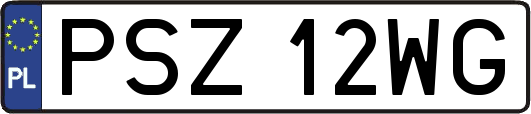 PSZ12WG