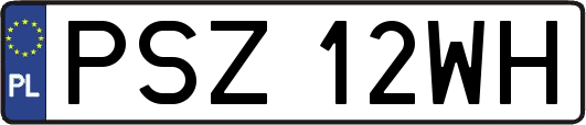 PSZ12WH