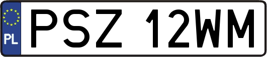 PSZ12WM
