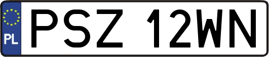 PSZ12WN