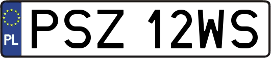 PSZ12WS