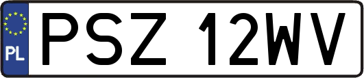 PSZ12WV