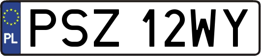 PSZ12WY