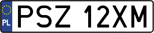 PSZ12XM