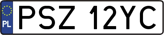 PSZ12YC