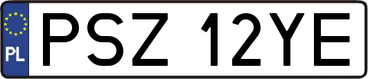 PSZ12YE