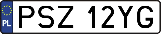 PSZ12YG