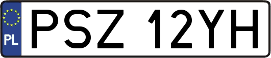 PSZ12YH