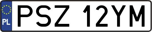 PSZ12YM