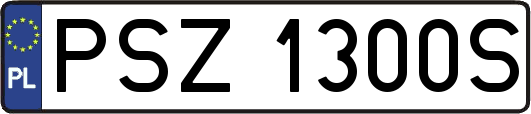 PSZ1300S