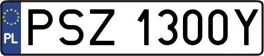 PSZ1300Y