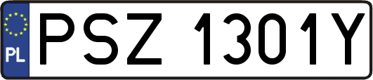 PSZ1301Y