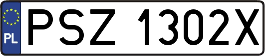 PSZ1302X