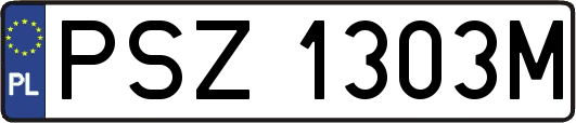 PSZ1303M