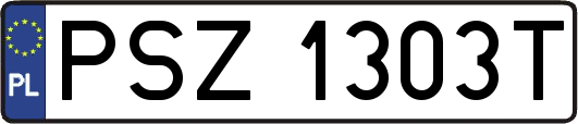 PSZ1303T