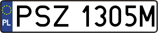 PSZ1305M