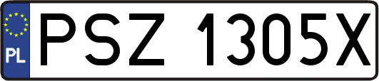 PSZ1305X